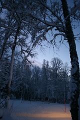 vinterland-8