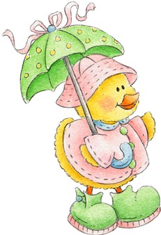 Rainy Day Duck