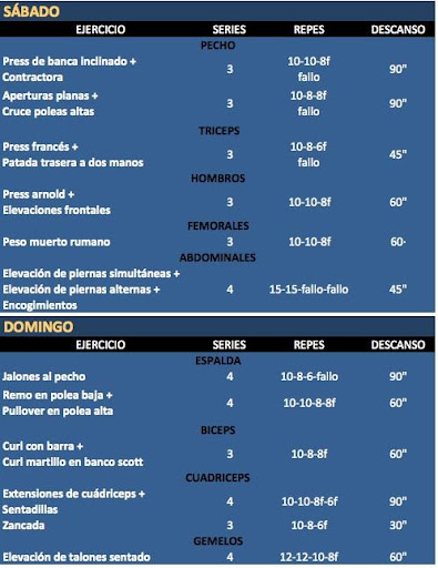 【免費運動App】Ejercicios Musculacion Gym-APP點子