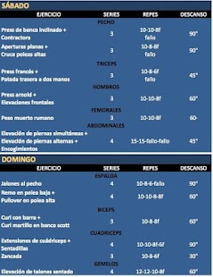 How to download 💪 Musculacion Fitness Gym 🏃 21.0.0 unlimited apk for bluestacks