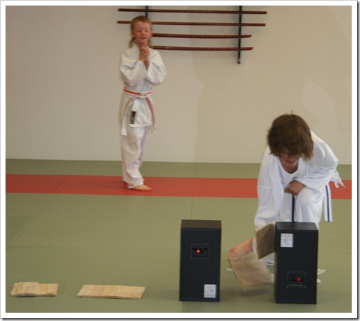 Karategradering vt 2010 003