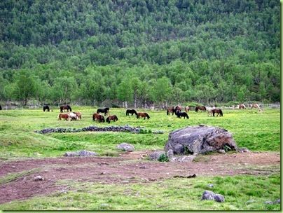 Tur til Veslevasseter og Sikkelsdalseter 035