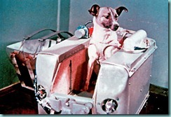 <h2>1957</h2><br /><strong>The Space Race </strong><br />Laika, the dog traveling aboard Russia's Sputnik 2, becomes the first mammal in space, raising the bar in the Space Race, which sparked billions of dollars in aerospace research spending.