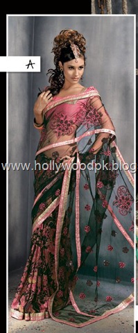 [indian saari. pakistani saari. bangladeshi saari. pakistani fashion.. indian fashion. latest dresses (55)[2].jpg]