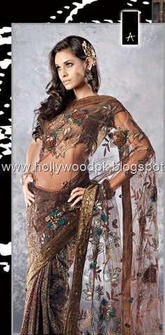 [indian saari. pakistani saari. bangladeshi saari. pakistani fashion.. indian fashion. latest dresses (61)[2].jpg]