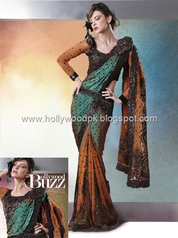 [indian saari. pakistani saari. bangladeshi saari. pakistani fashion.. indian fashion. latest dresses (78)[2].jpg]