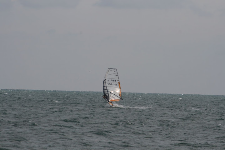IMG_4790.JPG