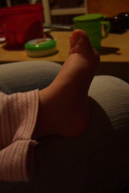 dscf9028.jpg