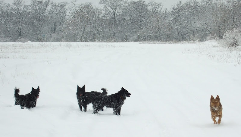 dscf9190.jpg