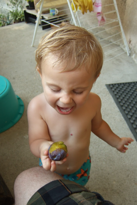 dscf7171.jpg