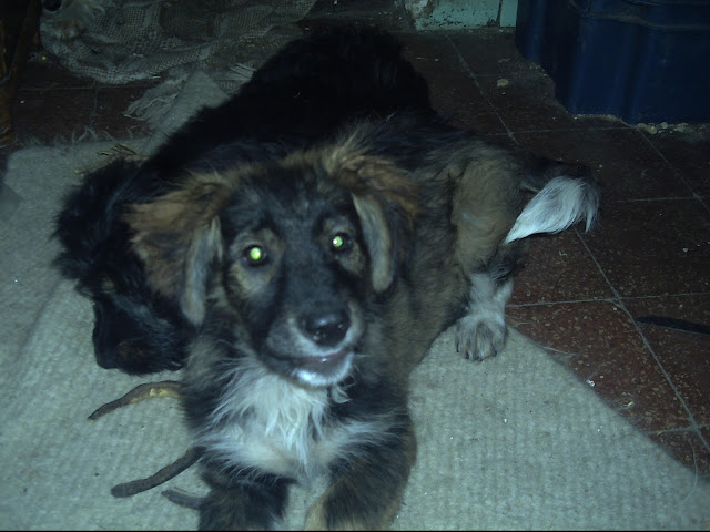 PICT0019.JPG