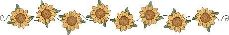 [sunflowerrow[2].jpg]