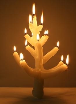 arbol -1 (7) arbol -1 (7)