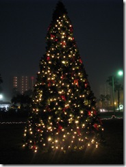 5280 Christmas Lights South Padre Island Texas