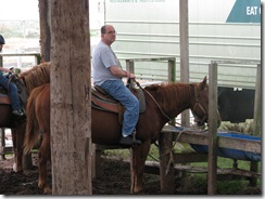 5288 Island Equestrian Center South Padre Island Texas