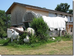 0722 Covered Wagon & Concrete Oxen west of Kearney NE