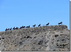 5181 Wild Horses Monument WA