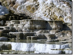 5821 Mammoth Hot Springs Terraces Yellowstone National Park