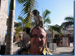 8149 Bill & Monkeys  Basseterre St Kitts