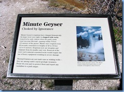 9153 Minute Geyser Norris Geyser Basin YNP WY