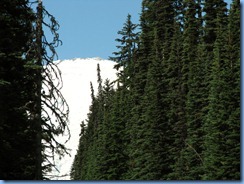 1069 Mount Rainier National Park WA