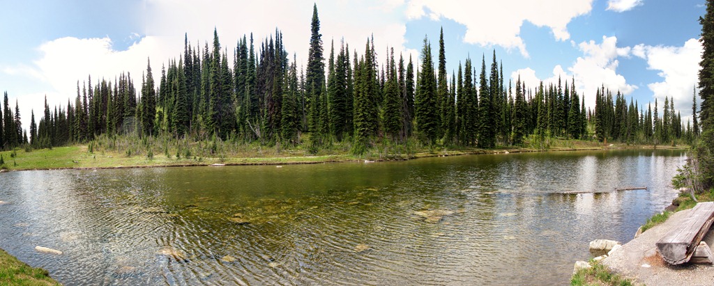 [0600 Balsam Lake Meadows in the Sky Parkway RNP BC Stitch[3].jpg]