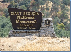 2304 Giant Sequoia National Monument CA
