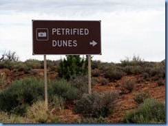 4879 Petrified Dunes Arches National Park UT