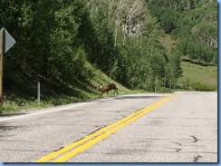 4520 Mule Deer Scenic Byway 12 UT