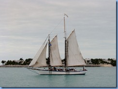7308 Key West FL - Conch Tour Train 1st stop back at Mallory Square view from lunch table