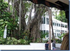 7317 Key West FL - Conch Tour Train - Harry S. Truman Little White House