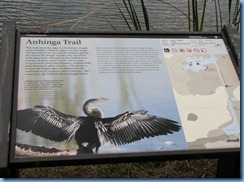 7391 Everglades National Park FL- Royal Palm Anhinga Trail