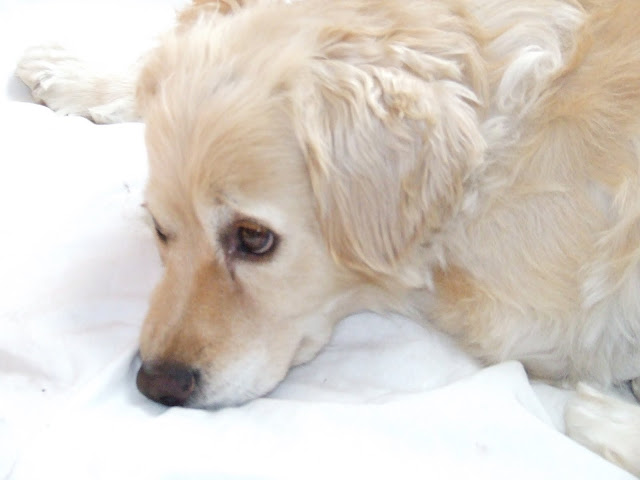 DSCF0804.JPG