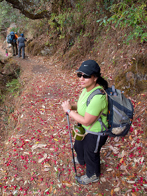 Farah on the Red Rhododendron Trail