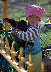 girl and hen