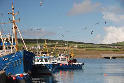 Portmagee - boats to visit Skelligs. From Driving Ireland's Ring of Kerry: Take a Detour