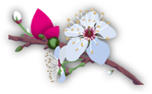 withlove%2681.png