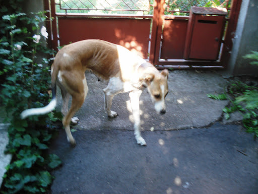 20100829%20036.JPG