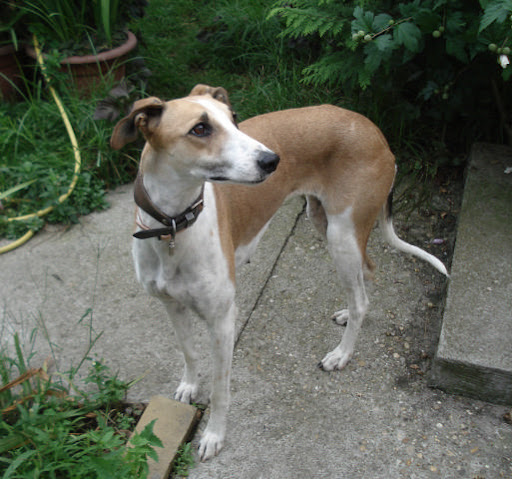 20100904%20010.JPG