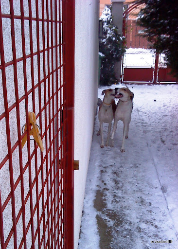 20101228%20011.JPG