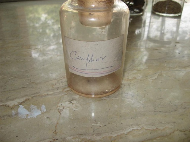 [camphor - pharmacology lab[2].jpg]