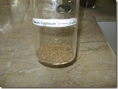 carum coptieum-ijwayein - specimen