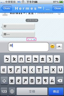 開了數個聊天視窗後，文字輸入欄上方會出現好幾個的圓點，只要按住對話的空白處左右滑動就可以切換，只是順暢度待加強！
