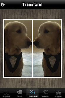 主要是讓使用者可以做旋轉或是鏡射