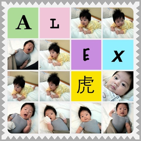 所有的設計功能都可以運用在格狀與直/橫幅照片