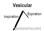 vesicular sound