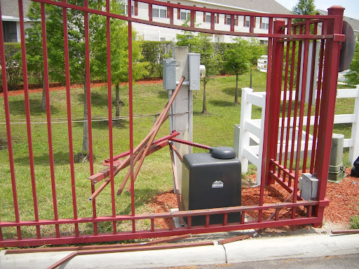 Mobile Wallpapers Free Gators