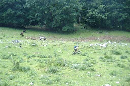 DSCF1561.JPG