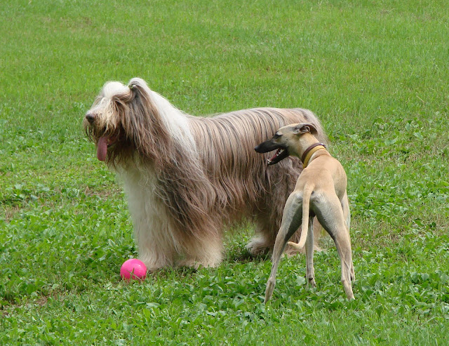 DSC06007.JPG