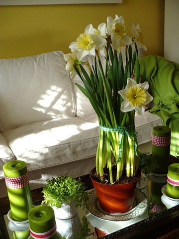 [dafffodils[3].jpg]